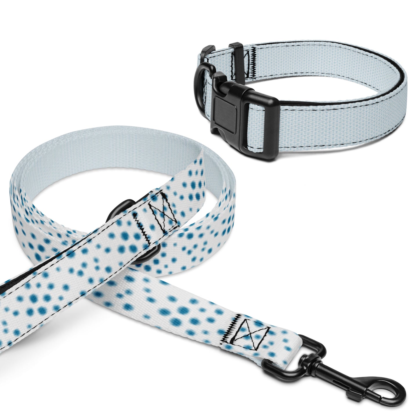 Pet collar & leash