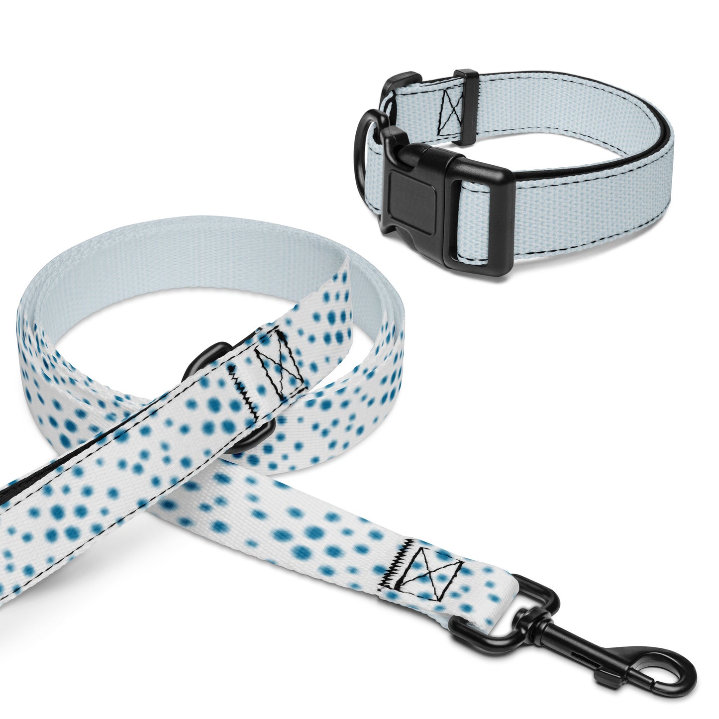 Pet collar & leash