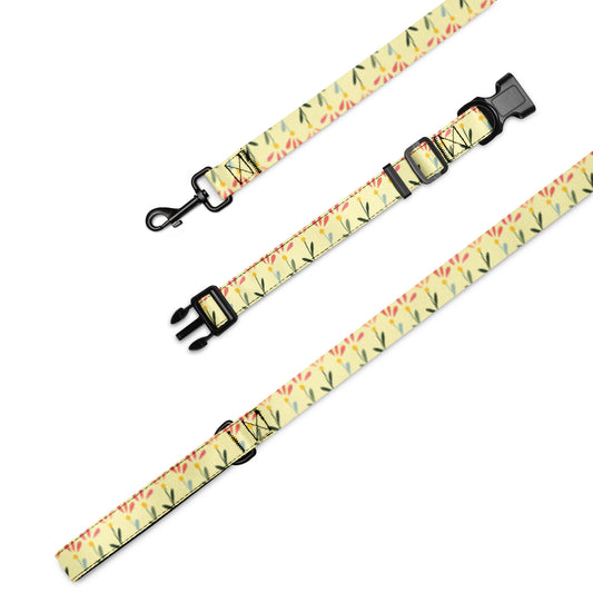 Pet collar & leash